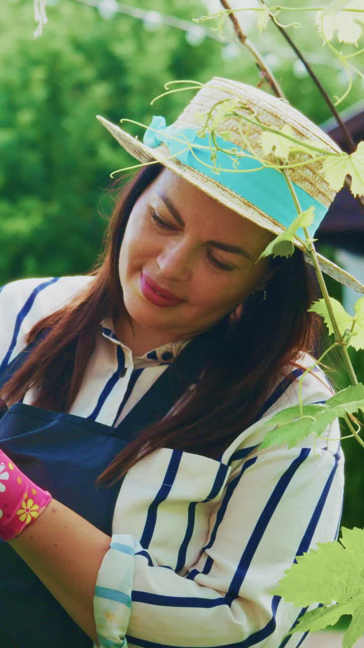 A Passionate Gardener Nurturing Grape Vines: Capturing the Joy of Cultivating Nature with Care and Dedication in a Vibrant Outdoor Setting