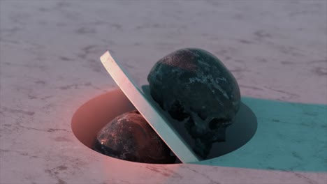cráneo oscuro en mármol