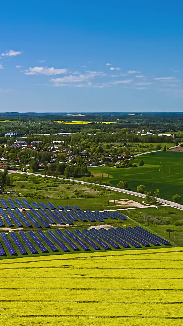 Solar panel farm renewable energy green electricity sun harvest timelapse vertical video