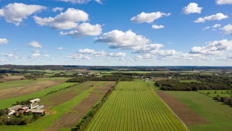 hyperlapse aerial view over green fields, blue sky and clouds