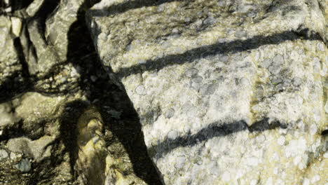 natural textures of rocks and shadows in a sunlit outdoor setting