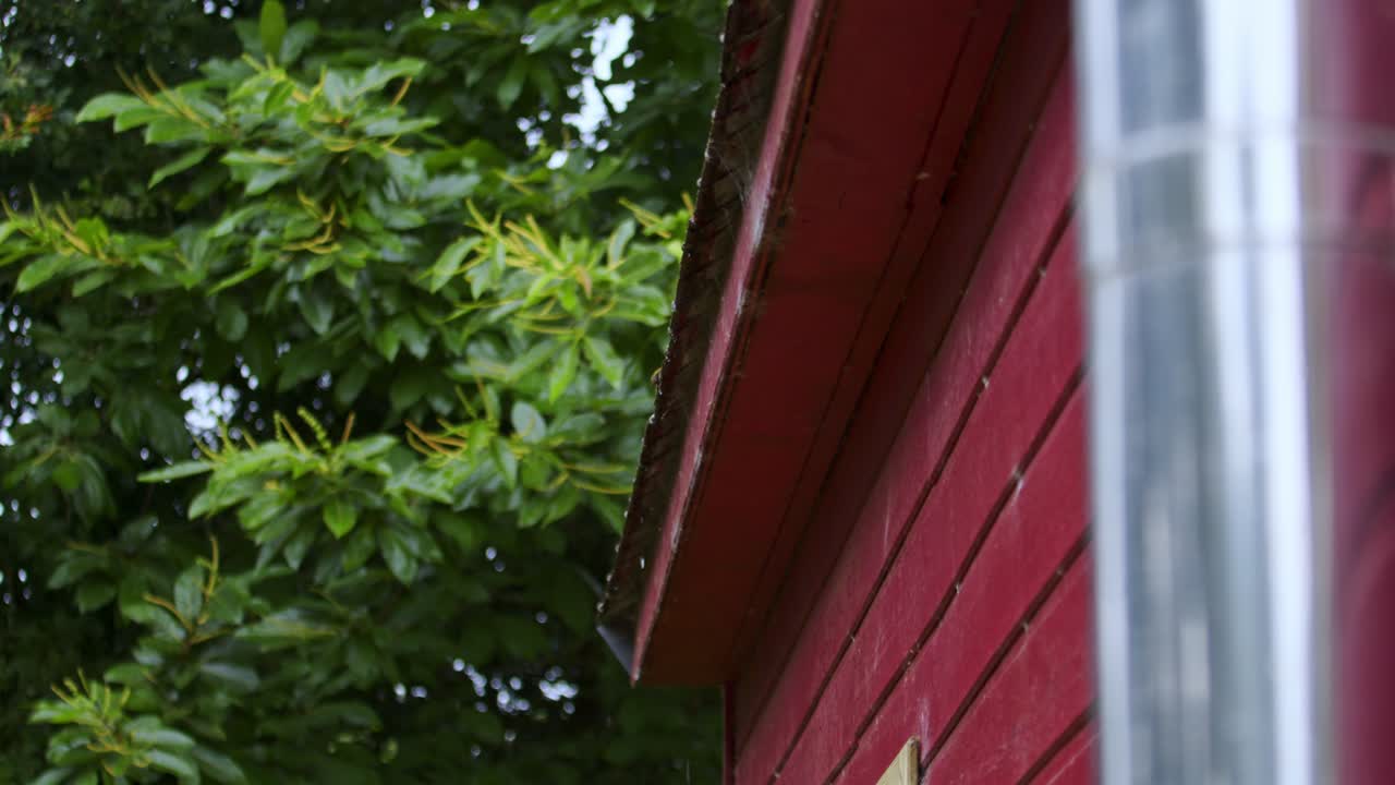 Wooden Lodge With Nature Background. Low Angle Shot