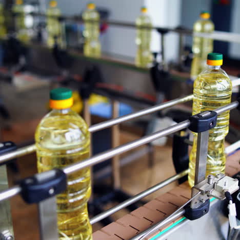 industry of producing natural cooking oil. packed bottles of refined oil moving on a conveyor. interior of contemporary sunflower factory.