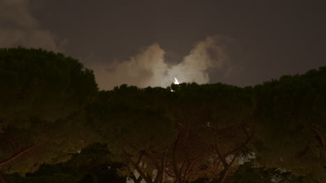 timelapse of crescent moon setting behind trees