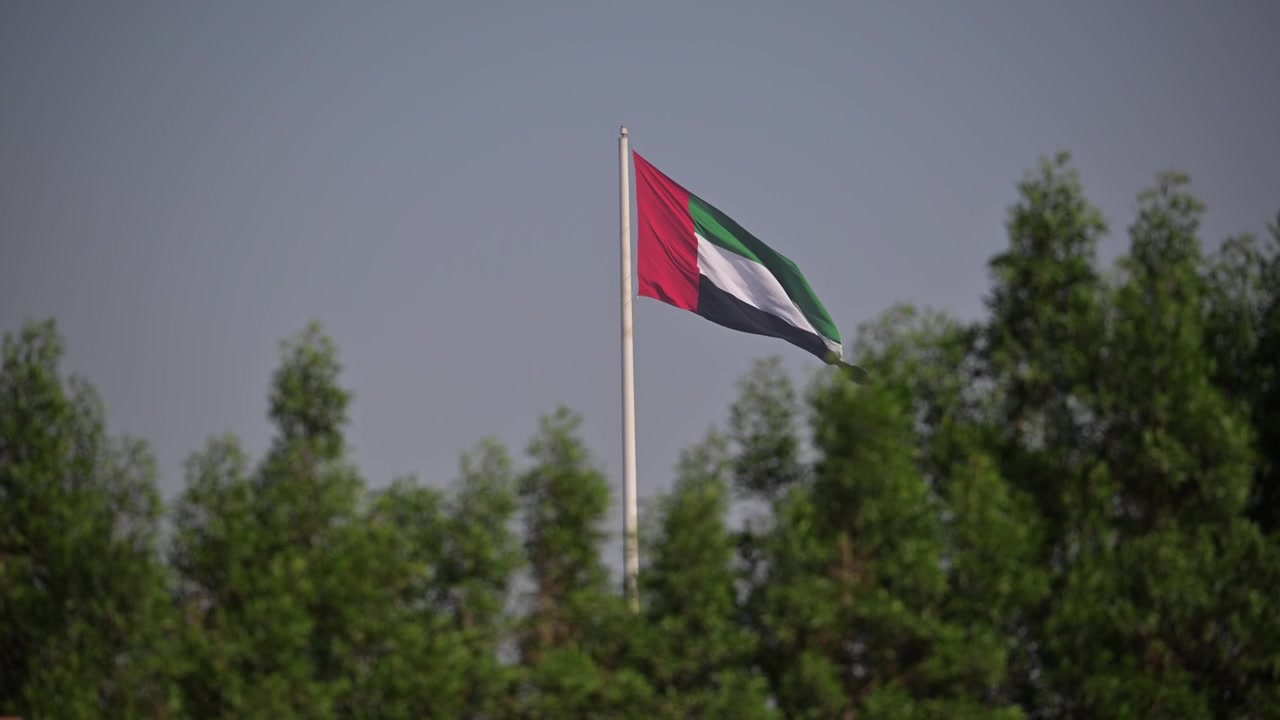 UAE national flag fluttering proudly over a canopy of green trees.