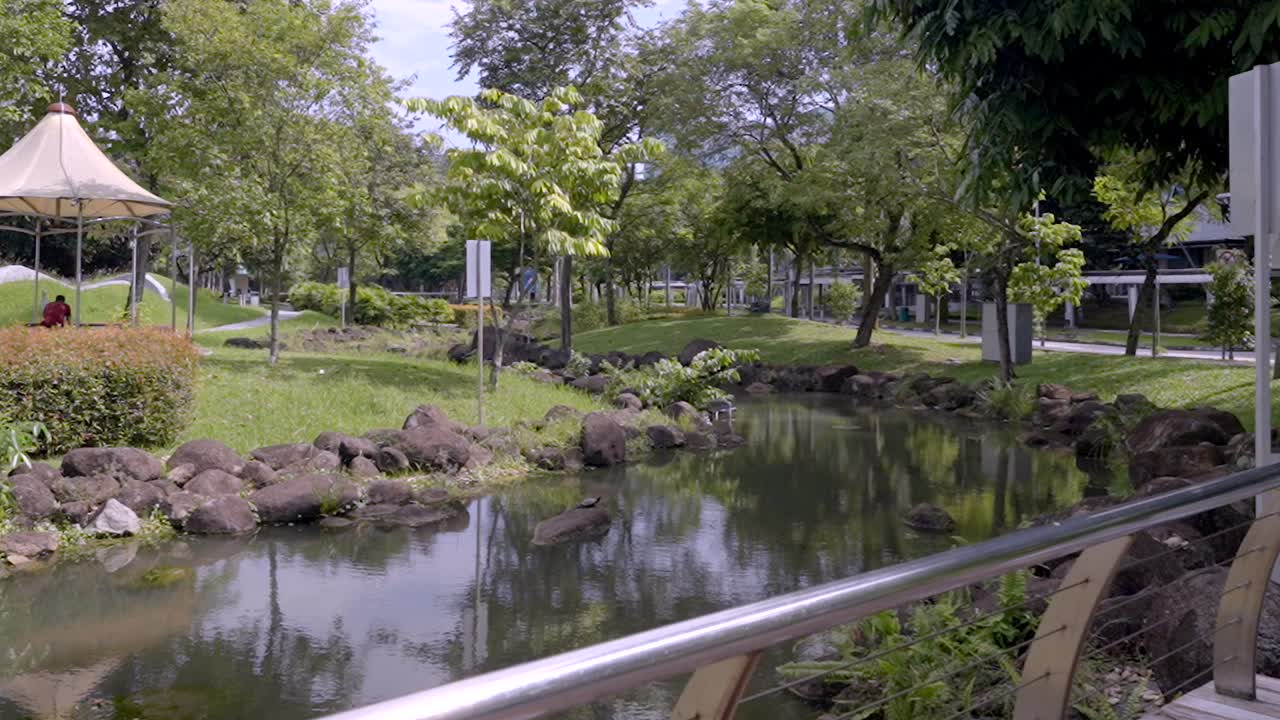 aguas de estanque con vegetación exuberante en el parque empresarial de changi en singapur