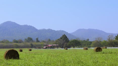 hay bales in a field with mountain backdrop