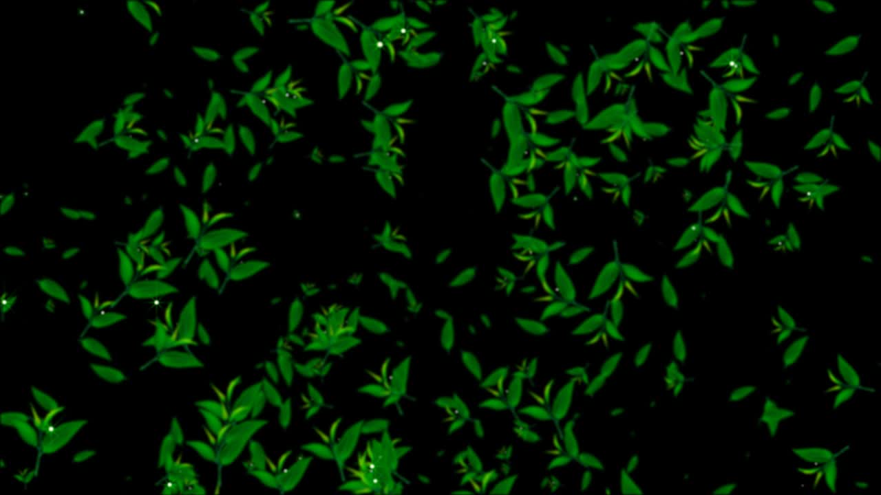 hojas de té con brillo. hojas de te volando. bucle