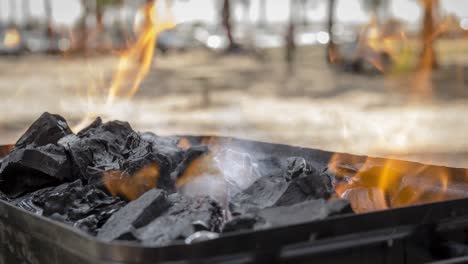 cinemagraph of smoke on burnt coal in a bbq grill