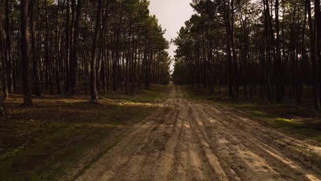 4K-Drohnenansicht-Einer-Schmutzigen-Straße-Mitten-In-Einem-Pinienwald