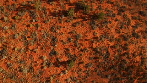 Slow-moving-aerial-across-a-red-earth-Australian-landscape,-to-tilt-up-and-reveal-a-vast-outback-landscape