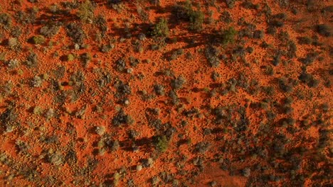 antena de movimiento lento a través de un paisaje australiano de tierra roja, para inclinar hacia arriba y revelar un vasto paisaje del interior