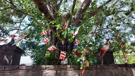 colorful buddhist flags adorn a tree near the historic dambulla cave temple in sri lanka, on a sunny day