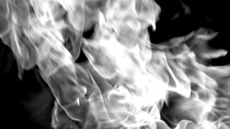 abstract real fire flames burn movement on chroma key green screen, with alpha channel background loop seamless