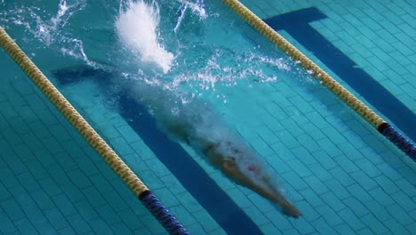 swimmer training in a swimming pool