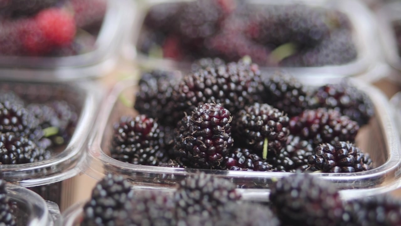 Moras frescas en recipientes de plástico en un mercado