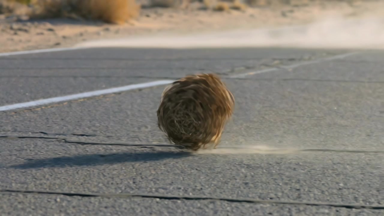 Gusting wind lifting dry tumbleweed ball rolling across desert highway, kicking up dust trail