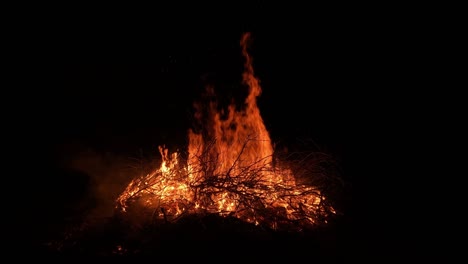 ramas ardientes en la oscuridad, una gran llama, fuego en el bosque.