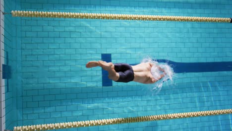 swimmer training in a swimming pool