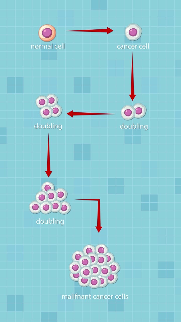 Animated vector sequence showing normal cell transforming into cancer cell and forming malignant tumor.