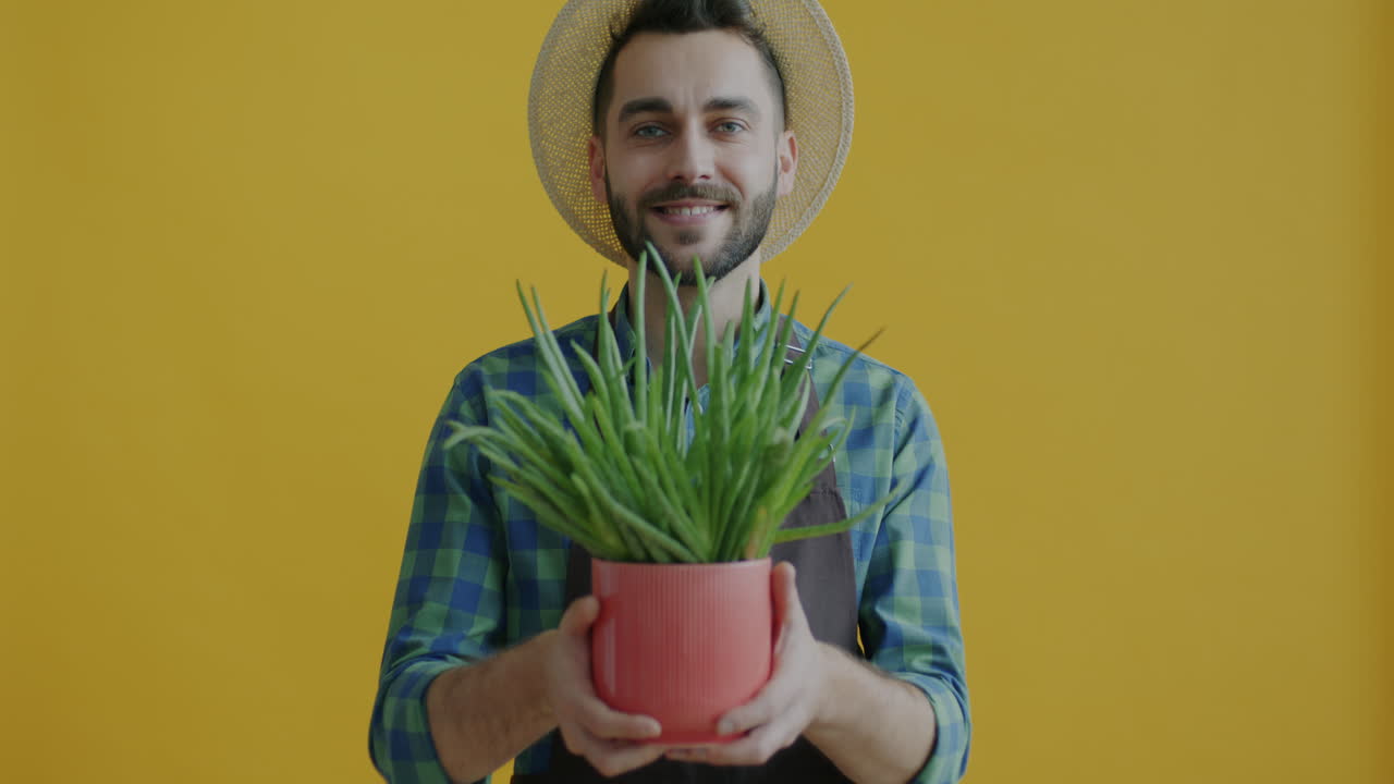 Man holding an aloe vera plant