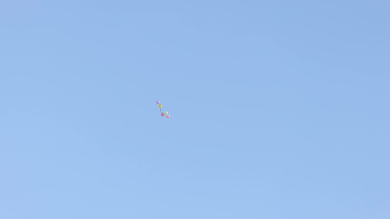 globos volando en el cielo azul