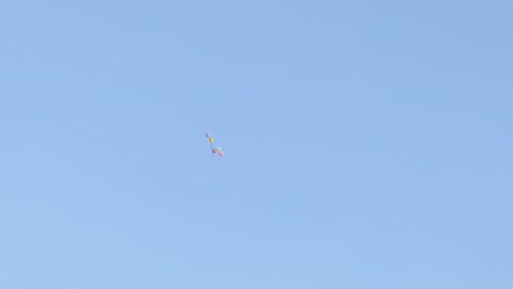 globos volando en el cielo azul