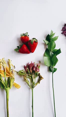 fresh strawberries and dried flowers on white background