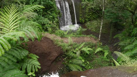 bali nature jungle waterfall banyumala indonesia tropical rainforest attraction, tilt