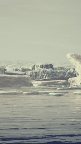 arctic icebergs