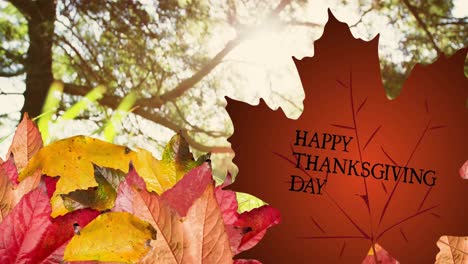 Happy-thanksgiving-day-text-over-autumn-maple-leaf-against-sun-shining-through-trees