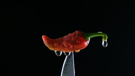 a red chili pepper on a knife tip, water dripping off