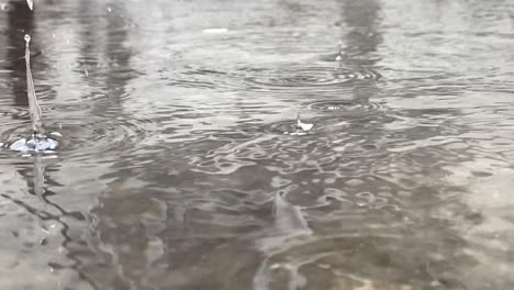 rain drops in slow motion