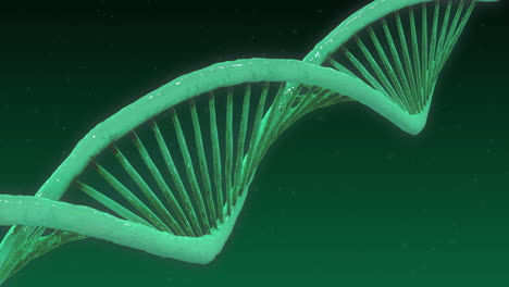 cadena de adn verde contra un fondo verde