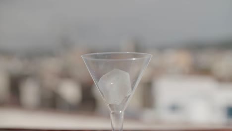 frozen flower on ice cube drop on martini glass isolated in bokek backdrop