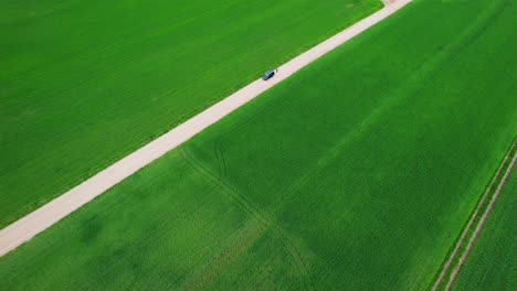 Huge-green-fields-with-a-road-in-the-middle,-Aerial-Shot