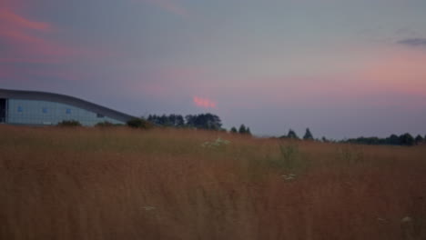 Goldene-Gras-Sonnenuntergangslandschaft-Im-Golfparkfeld.-Keine-Leute-Im-Gebäude-Draußen.