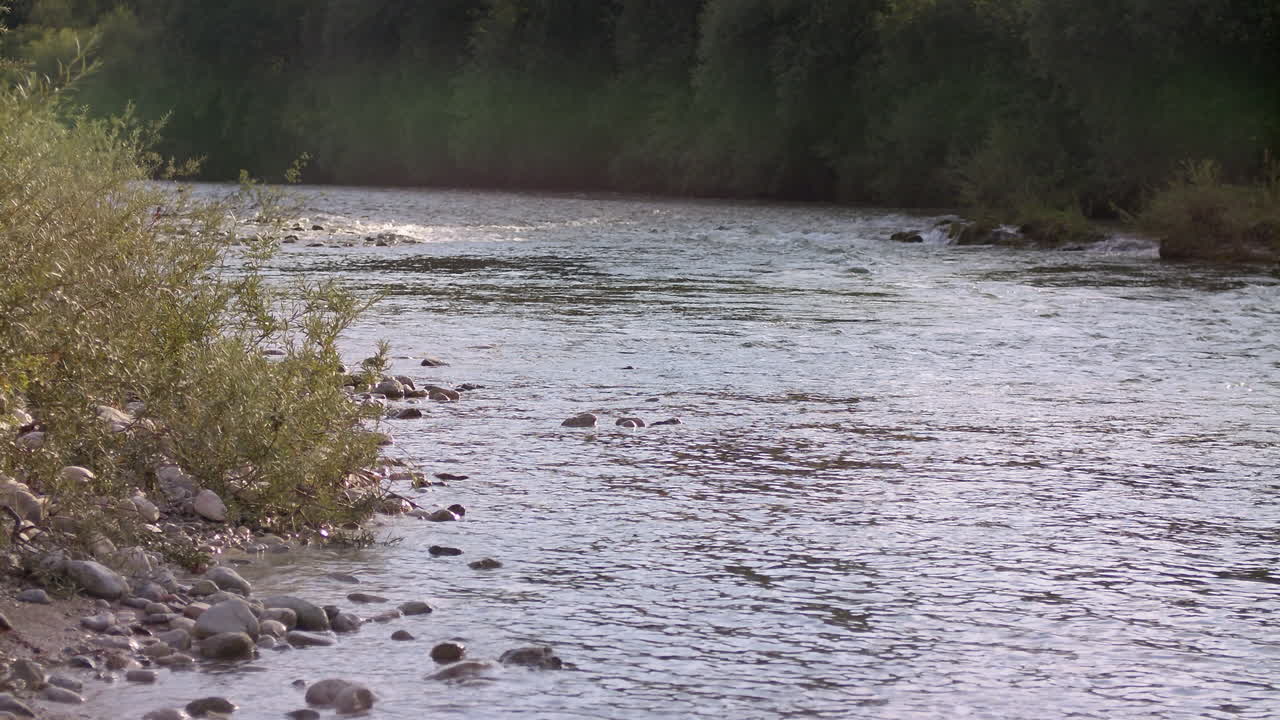 Fiume pittoresco al sole della sera, pietre e vegetazione.