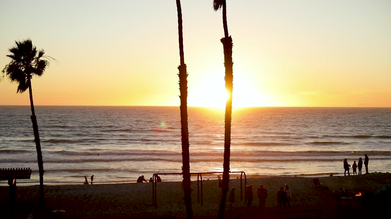 캘리포니아 해변에 있는 야자수를 지나는 일몰의 공중 전망