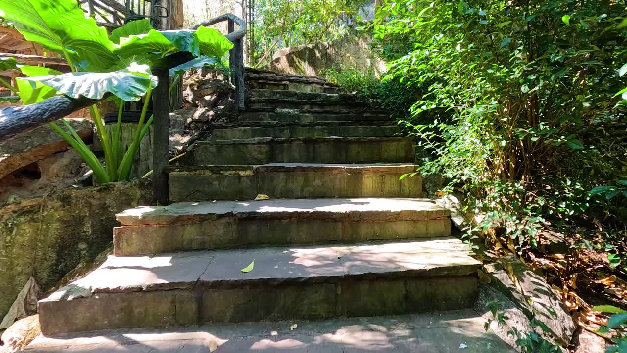 열대 정원에서 돌 계단