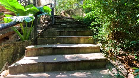 stone stairs in a tropical garden