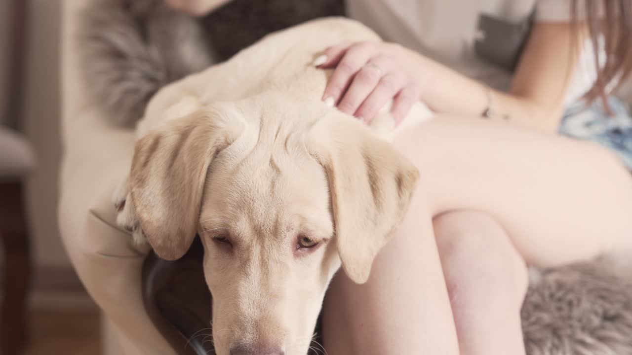 애무 과정의 클로즈업 비디오