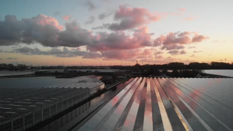 aerial view of modern agricultural greenhouse in the netherlands