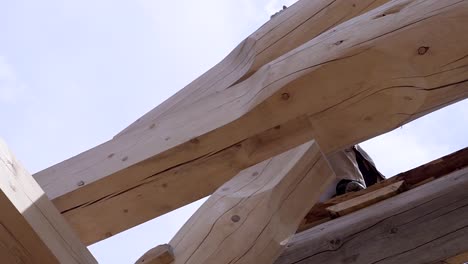 log cabin construction: timber framing process