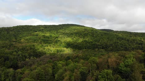 Erhebt-Sich-Aus-Dem-Wald