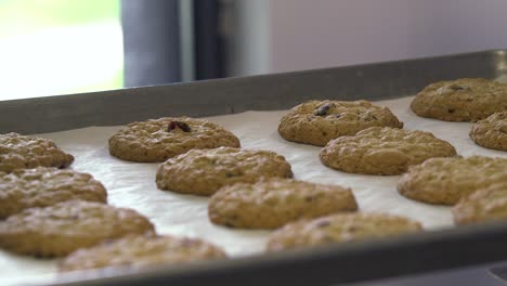 rows of fresh cookies on a baking tray