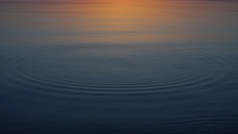 small wave on calm water surface, majestic sunset around.