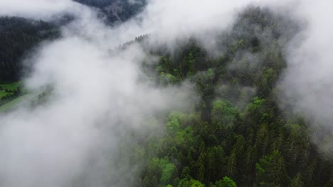 Bosque-Montañoso-De-Mal-Humor-Aéreo-Cubierto-De-Espesas-Nubes-Blancas-4k