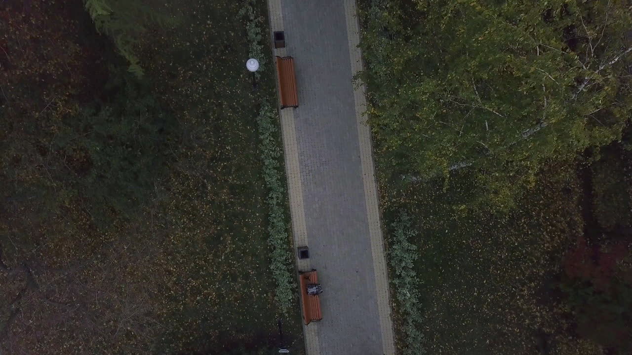 Autumn Park Path from Above