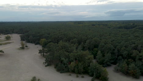 Aerial-of-beautiful-green-forest-with-a-bright,-cloudy-sky